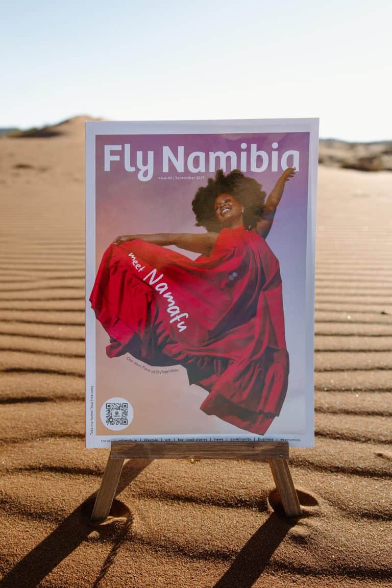 FlyNamibia