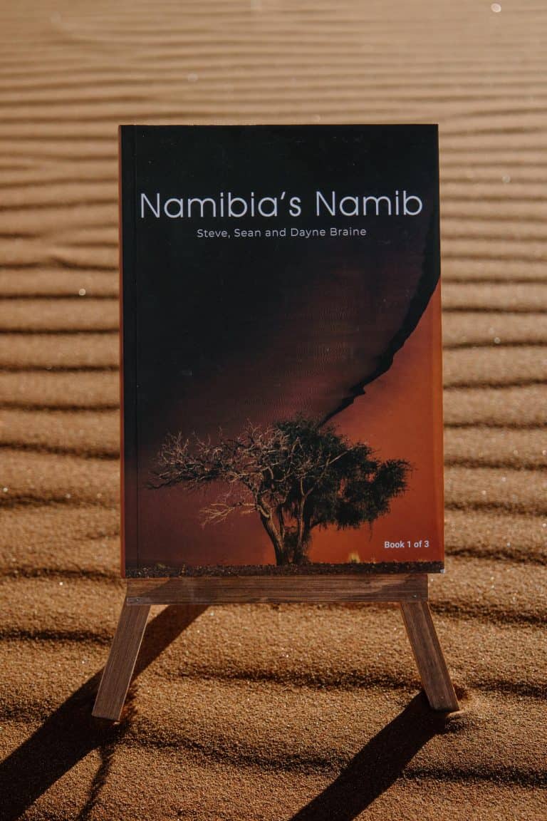 Namibia's Namib
