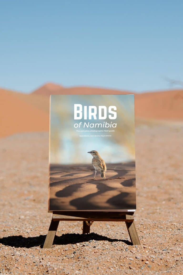 Birds of Namibia photography book on desert landscape, wildlife, Namibia bird guide, outdoor nature, adventure.